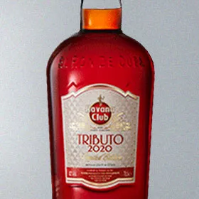 Havana Club Tributo 2020