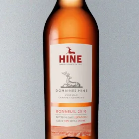HINE Bonneuil 2010