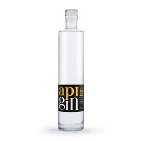 api gin