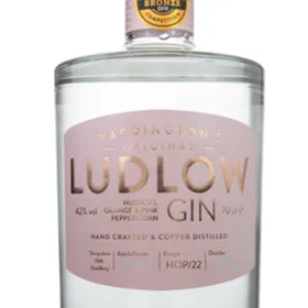 Ludlow Hibiscus Orange & Pink Peppercorn Gin