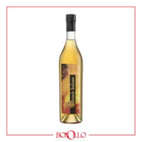 Distillerie Bonollo Ars Distillandi Brandy Italiano