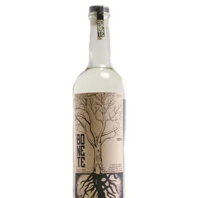 Bonete Costa Raicilla
