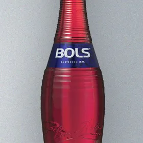 Bols Sloe Gin