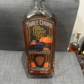 Three Chord Back Stage Allman brothers band
