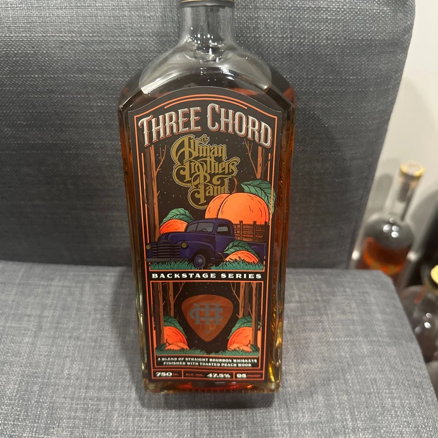 Three Chord Back Stage Allman brothers band