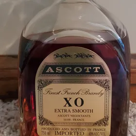 Ascott XO