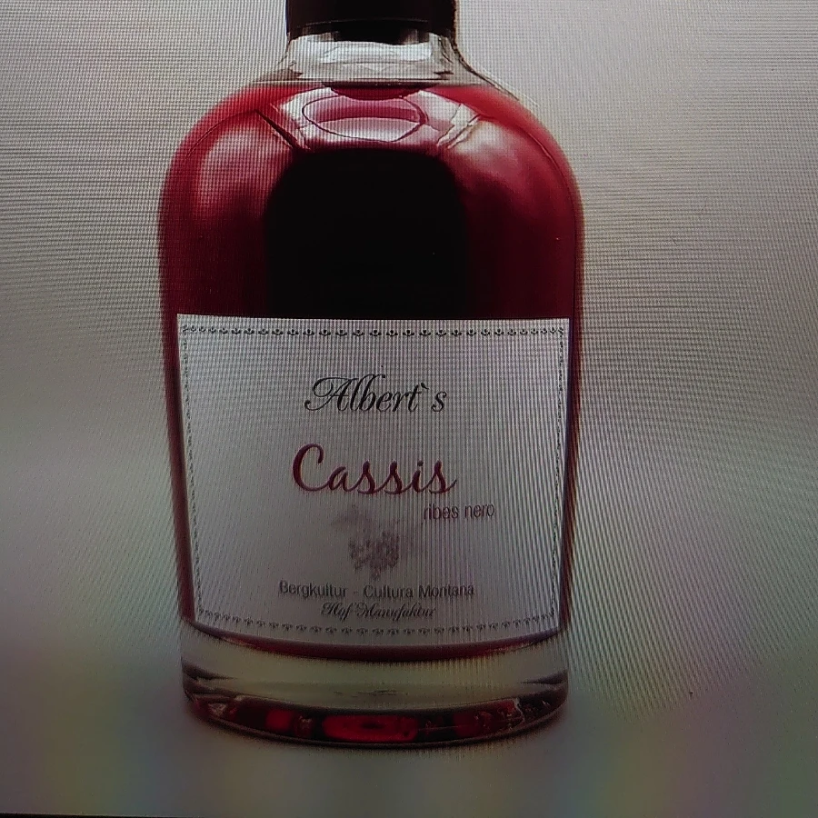 Albert's schwarze Johannisbeere