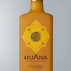 Casa D'Aristi Huana Mayan Liqueur