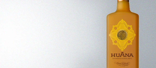 Casa D'Aristi Huana Mayan Liqueur