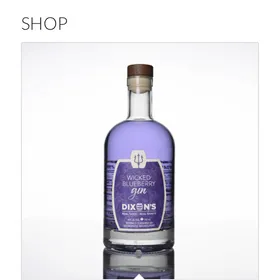 Dixon's Wicked Blueberry Gin