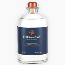 Peter in the Navy