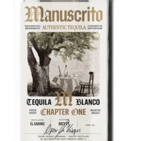 Manuscrito - Chapter 1