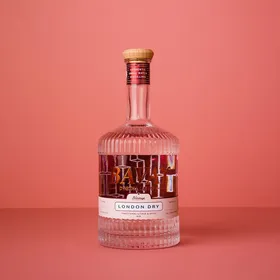 Bavay London Dry Gin