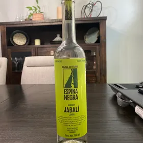 Espina Negra Maguey Jabalí Joven