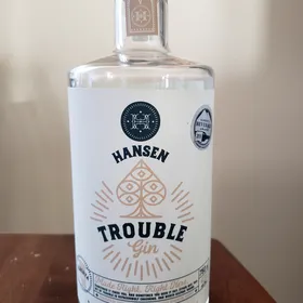 Hansen Trouble