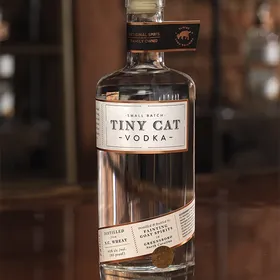 Tiny Cat