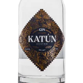 Katun Gin