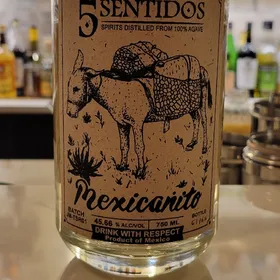 5 sentidos mexicanito