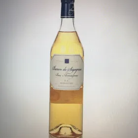Baron de Sigognac VS
