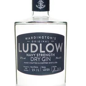 Ludlow Navy Strength Dry Gin