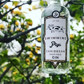 Swimming Pigs Gin