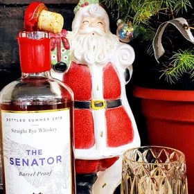 The Senator (Summer 2019 Batch)