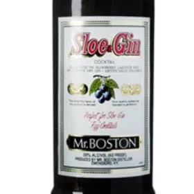 Mr. Boston Sloe Gin