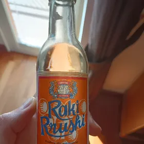 Ervin Kukes Raki Rrushi