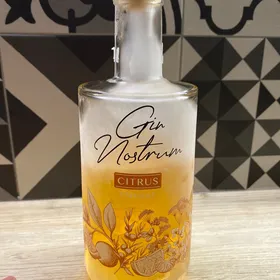 Gin Nostrum Citrus Flavour