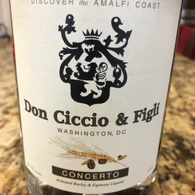 Don Ciccio & Figli Concerto