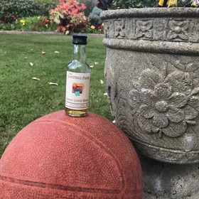 The Basketball Player