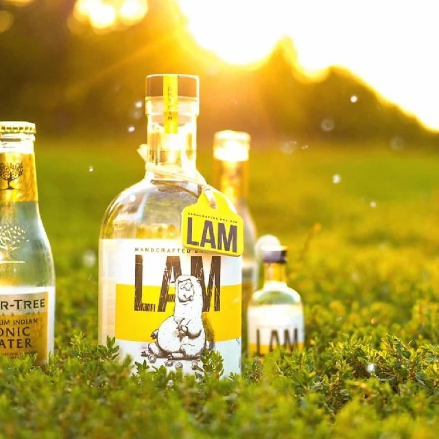 Lam Gin