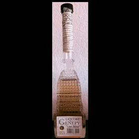 Liquore Genepy " i mè Mònt"