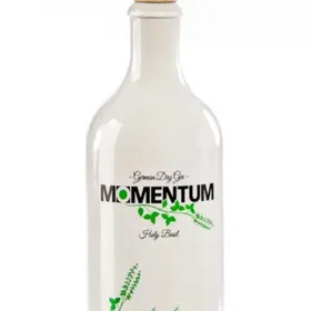 Momentum