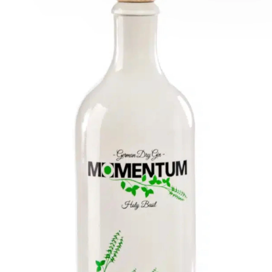 Momentum