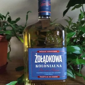 Żołądkowa Kolonialna Port -au- Prince