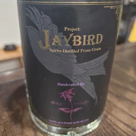 Dragon's Mouth Jaybird