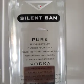 Silent Sam