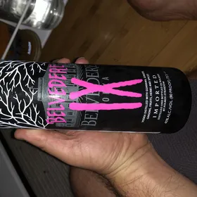 Belvedere IX
