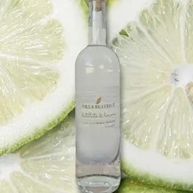 Villa Beatrice Lemon Distillate
