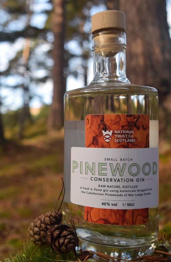 Pinewood Gin