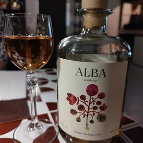 ALBA GRAPPA MORBIDA 2024