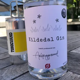 Kildedal Gin