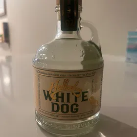 Holladay White Dog