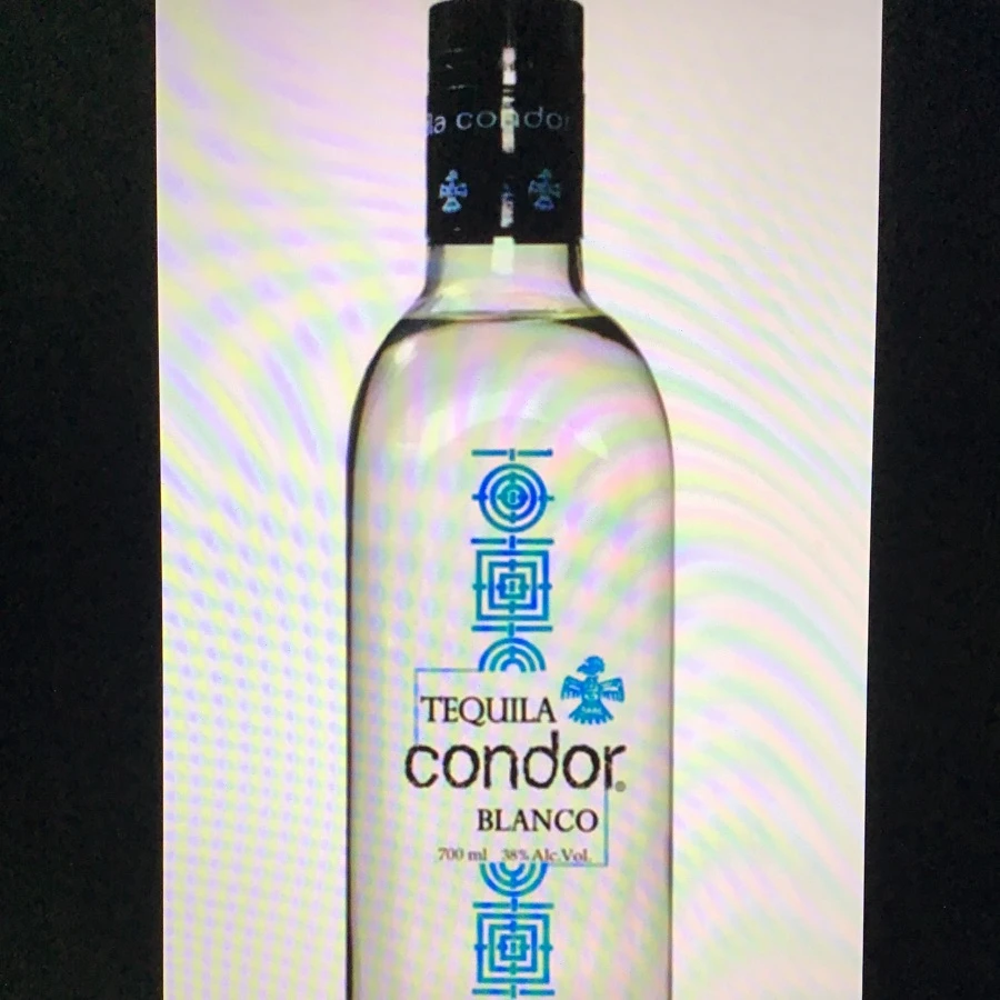 Condor Blanco