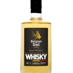 Belgian Owl Intense
