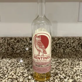 Sentinel of the Desert