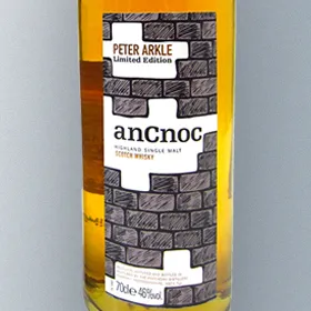 anCnoc Peter Arkle Bricks