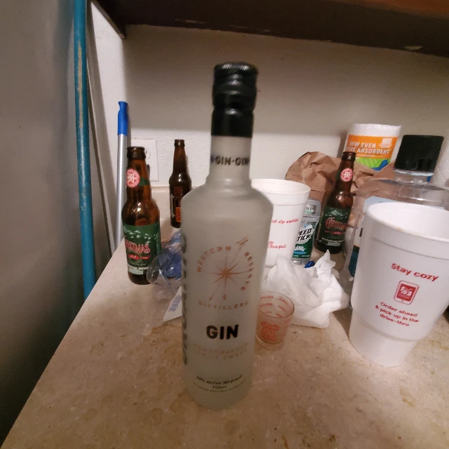 Western reserve distillers organic gin