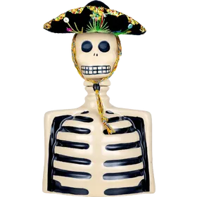 Skelly Tequila Anejo